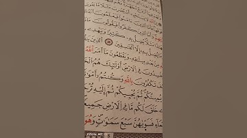 اقرأ القران مع جيجي ماتيسر من الذكر الحكيم من سورة البقرة