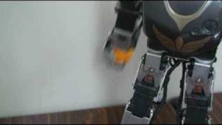 Melissa Hand Type-1