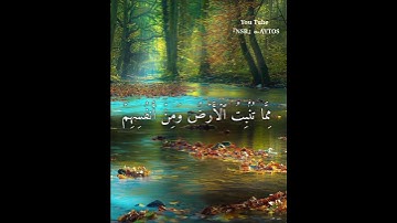 ماهر المعيقلي💭⚡أجمل حالات واتس اب دينية مقاطع دينية قصيرة مقاطع انستقرام دينية 2022 مقاطع سورة يسٓ
