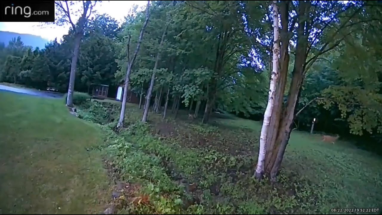 THIS IS THE MOST UNSETTLING FOOTAGE EVER CAPTURED ON A RING CAM!! - YouTube