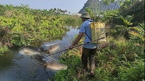 kich cá hai ông cháu kích cá ăn được rất nhiều cá khủng