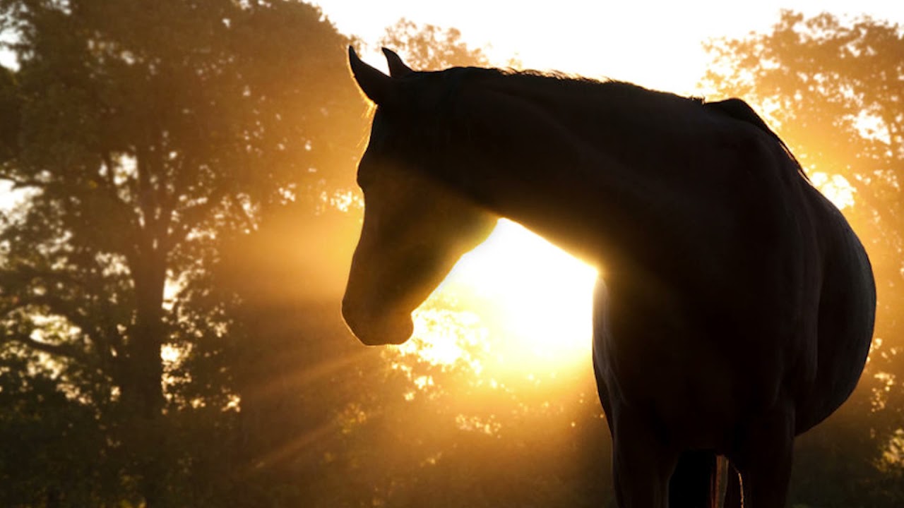 Canción 4 (Fernando Moruja)