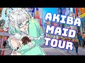 Akiba maid tourshowing you around my favorite placemaid mint fantome