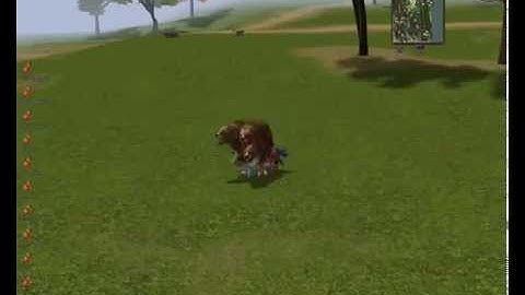 Metin 2 - LevelBot i FishBot 2012