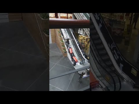 Man Makes a Huge Paper Mess Going Up Escalator || ViralHog