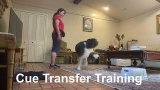 Steps to Transfer a Visual Cue to a Verbal Cue