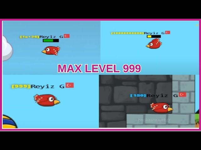 FREE XP BOOST TO MAX LEVEL 999 - FlyOrDie.IO