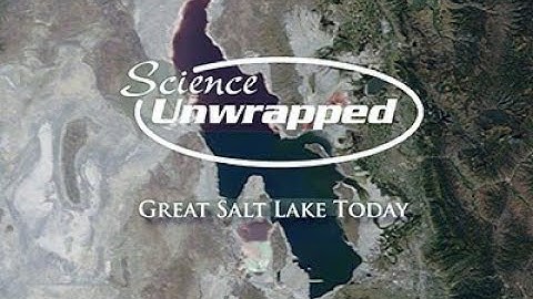 Science Unwrapped: Mighty Phragmites: Managing Invasive Plants