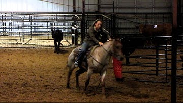 Play With My Cat - sorting practice 4 - Valley View Ranch