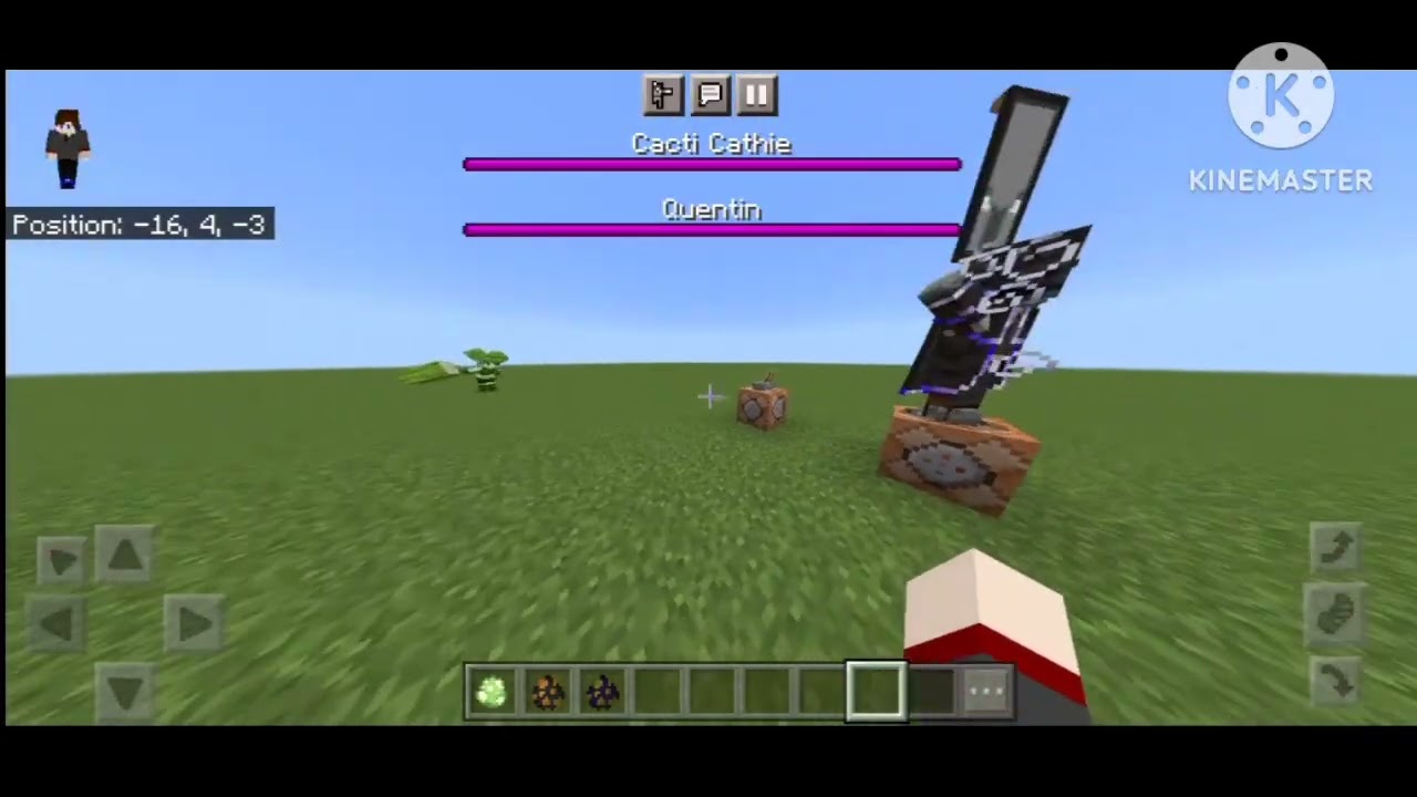 Cacti Cathie vs The Lord Illager, Quentin, Evoker Boss & Lord McGrilly