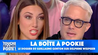 La boîte à Pookie : l'énorme dossier de Guillaume Genton sur Delphine Wespiser !