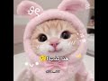 تابعو للأخر لايك اكلتك شلتنا تصميمي اعتني اكسبلور اهميه ترند Thieye Titi تابعو للأخر لايك اكلتك شلتنا تصميمي اعتني اكسبلور اهميه ترند Thieye Titi