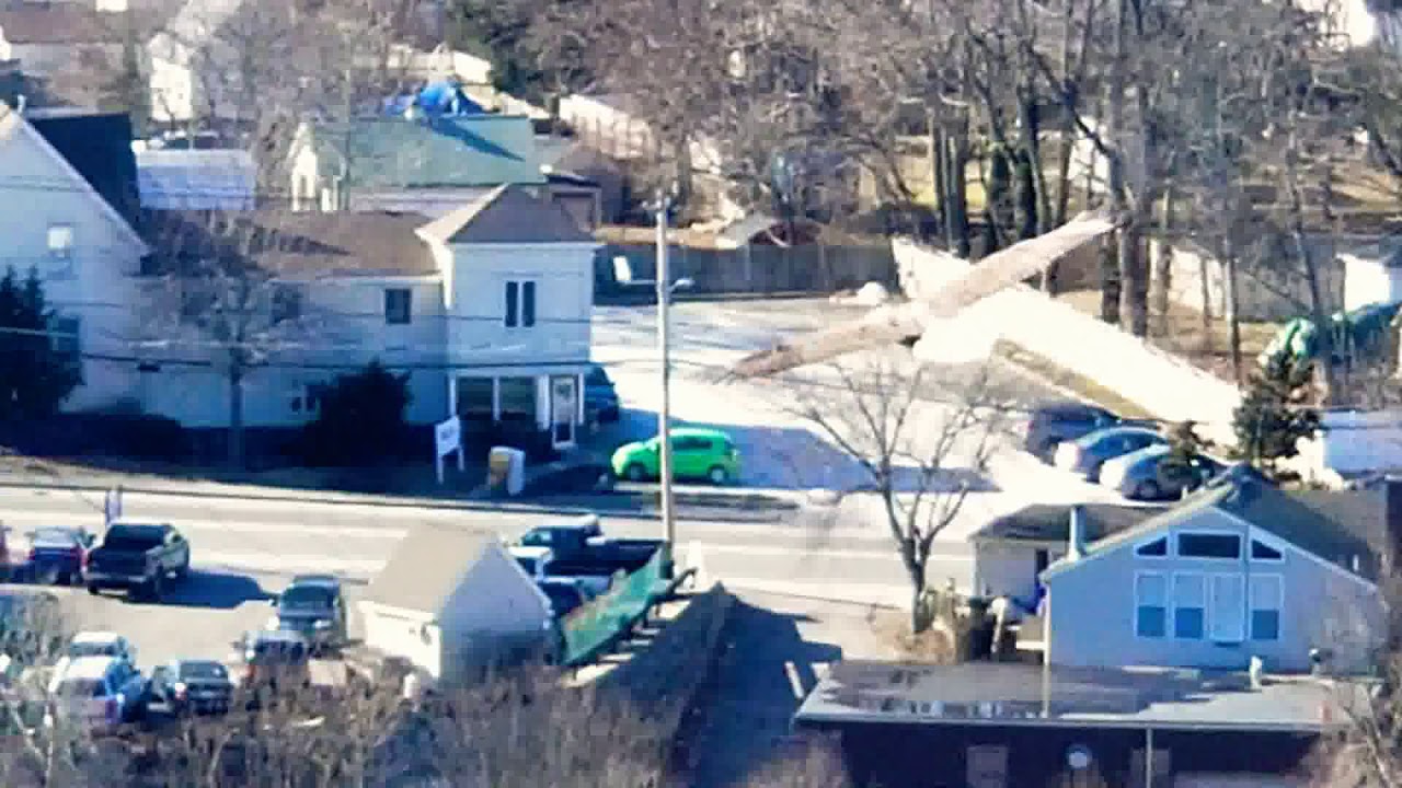 American Bald Eagle at the Taunton, MA Landfill YouTube