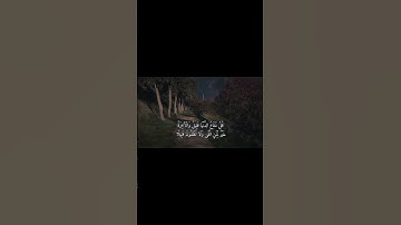سورة النساء ياسر الدوسري 🤍 #استغفر_الله #اكسبلور #السعودية #المصحف  #اللهم_صل_وسلم_على_نبينا_محمد
