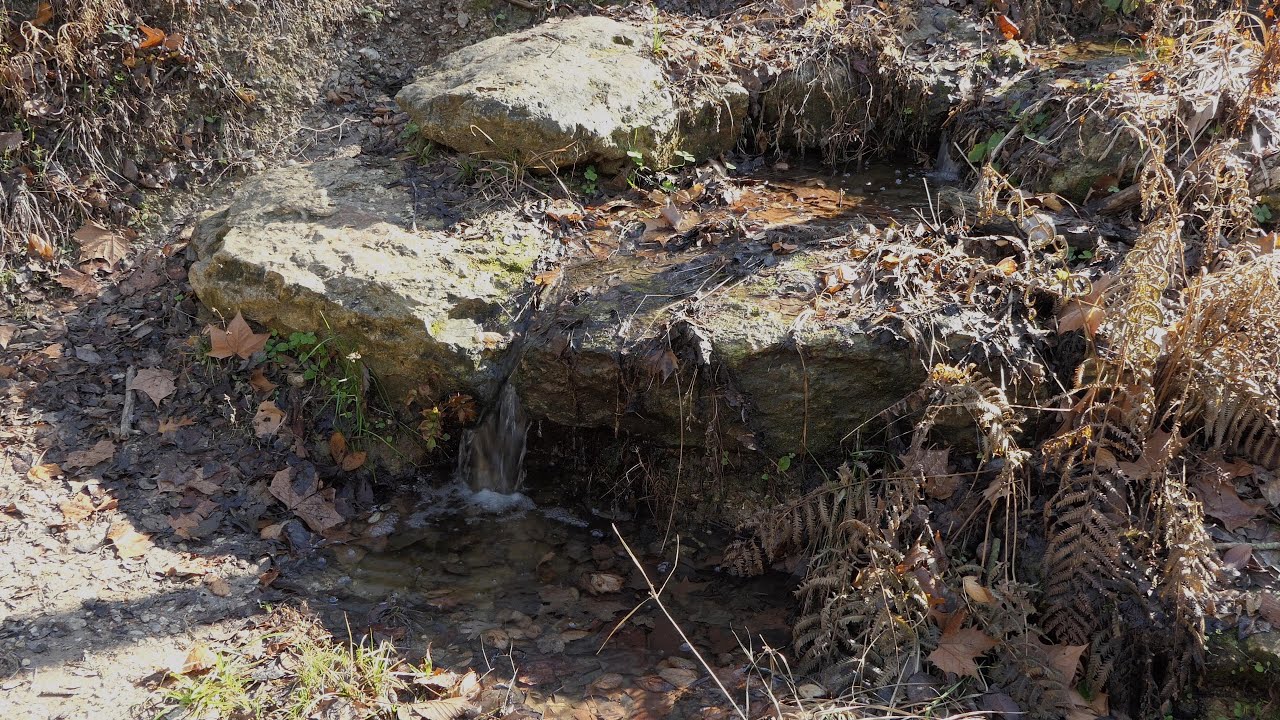 Ephemeral waterfall at the Houston Arboretum & Nature Center