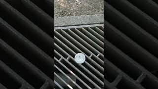 sewer grate