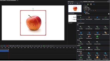 How to Use True/False Variables - ActivePresenter 8