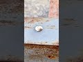 Motion rivet fastening #rivets #tools #metalwork #fabrication
