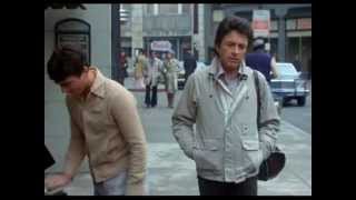 Bill Bixby David Banner Tribute