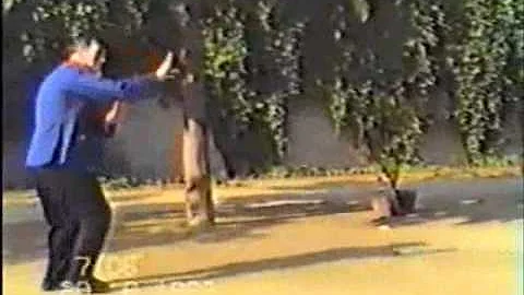 Sun Style BaGuaZhang