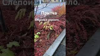 #природа #психология #саморазвитие #мудрость #притча #шортс