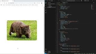 How to Make a Simple Background Image Slider Using HTML and CSS