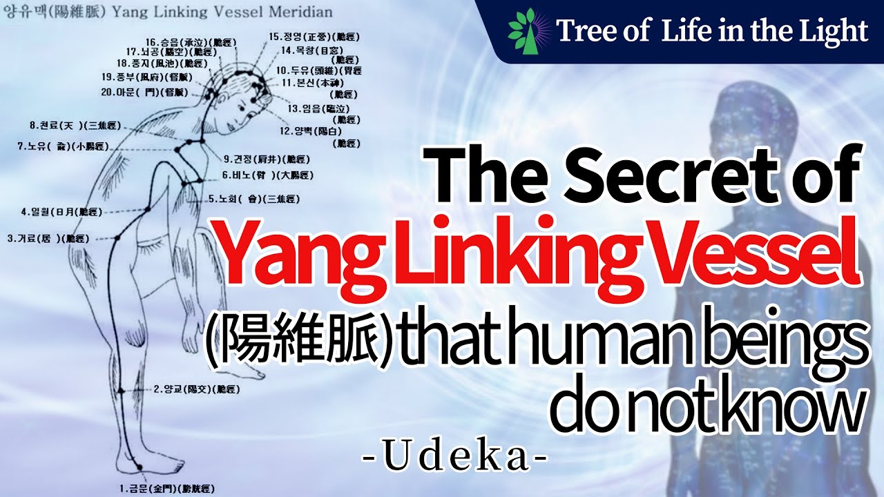 The Secret of Yang Linking Vessel (陽維脈) that human beings do not know ...