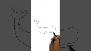 Sperm whale drawings #artjanag #art #trending #shorts #viral #viralshorts #ytshorts