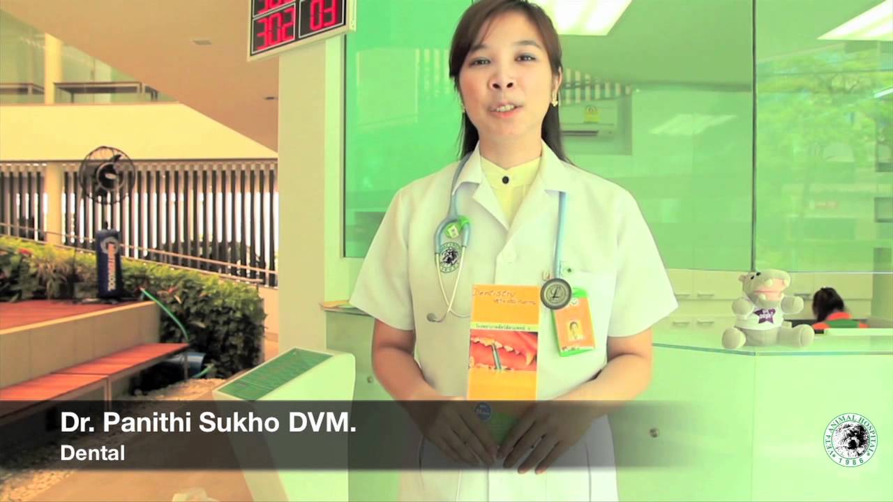 Vet 4 Dental: ปัญหาทางทันตกรรมในสัตว์