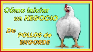 Cuánto DINERO necesito para CRIAR POLLOS ǀ Ing. Jannin Hernández Blandón