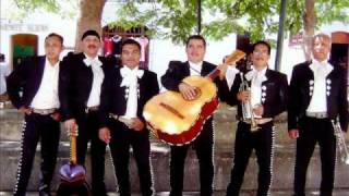 Vignette de la vidéo "Lamento de las campanas  Mariachi los principes(OAXACA)"