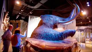 Travel Indiana: Hidden Gems, Best Places to Visit, & Local Tips | Ultimate Indiana Travel Guide