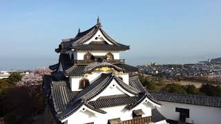 Hikone  Castle JAPAN  for Registered as a World Heritage Site Promotion Movie drone aerial photo