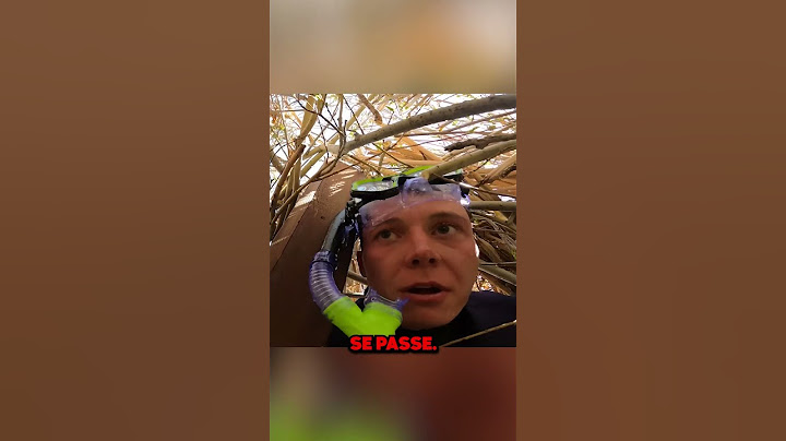 LE CACHE-CACHE LE PLUS DIFFICILE !😮 (Crédit : @zealous abonnez-vous à lui)