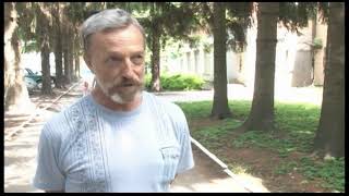 У Христинівці хочуть вирізати більше ніж 20 столітніх сосон У Христинівці хочуть вирізати більше ніж 20 столітніх сосон