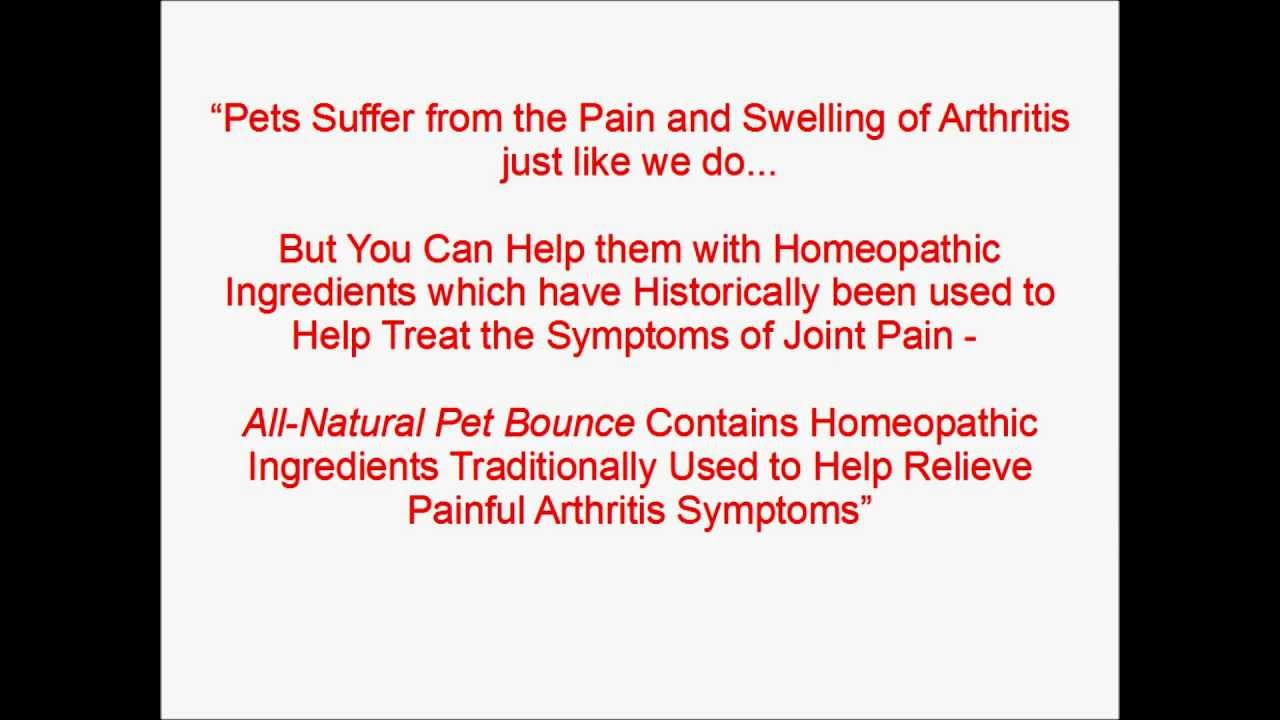 Anti Inflammatory for Dogs Dog Arthritis Medicine Review YouTube