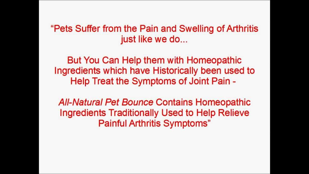 Anti Inflammatory for Dogs Dog Arthritis Medicine Review YouTube
