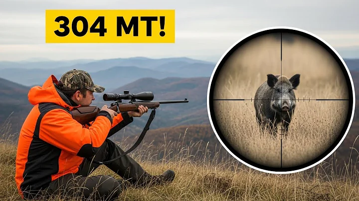 IMPOSSIBLE SHOT! Wild Boar Shot at 304 Meters, Best Wild Boar Hunts!