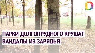 Парки Долгопрудного крушат вандалы из Зарядья | Телеканал Долгопрудный