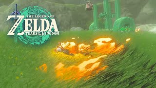 Legend of Zelda Tears of the Kingdom Memes | silly fails, deaths, and korok torture I saved