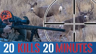 20 KILLSHOTS in 20 Minutes (BEST Hunting Compilation)