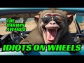 The darwin awards idiots on wheels edition cars carcrash fail crash funny funnyfails