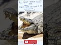 Crocodile | A Prasanth English Learning TV No 2064 #english #shortsviral #shorts
