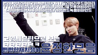 [세븐틴/정한] 고잉세븐틴으로 보는 뻔뻔한 재치쟁이 윤정한모음