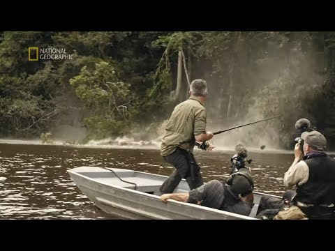Amazonia rzuciła im