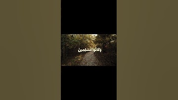 {يَا عِبَادِ لَا خَوْفٌ عَلَيْكُمُ الْيَوْمَ وَلَا أَنتُمْ تَحْزَنُونَ} سورة الزخرف #ياسر_الدوسري