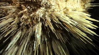 SUPRAMONTE - Official promo - english version
