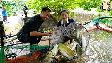 Kéo Ao Cá Bỗng Hà Giang (Cá Thần) chế biến toàn món ngon ở nhà hàng Hạ Thành Quán A Nguyễn Tất Thắng