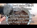 How to Prevent this #1 Seed Starting Mistake - Boiling Water &amp; Fungus Gnats: Two Minute TRG Tips