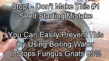 How to Prevent this #1 Seed Starting Mistake - Boiling Water & Fungus Gnats: Two Minute TRG Tips